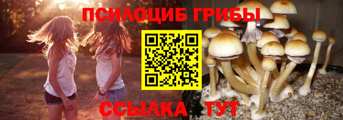 МЕФ  Тара  ГАШ  Кодеин  Мефедрон кристаллы  Каннабис  Cocaine  Вход с VPN 