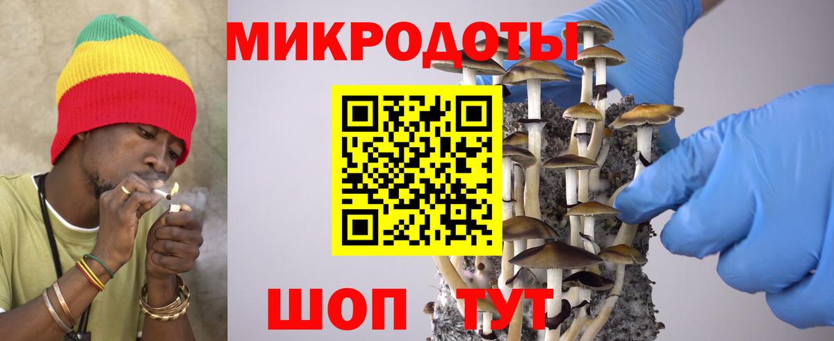 Псилоцибиновые грибы ЛСД Тара